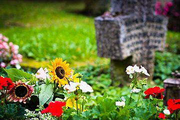 Bunte Blumen und im Hintergrund ein Grabkreuz.