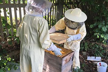 Zwei Menschen in Imkeranzug arbeiten an einem Bienenstock
