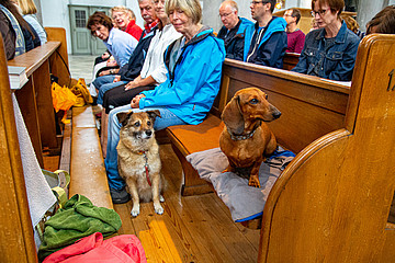 Menschen und zwei Hunde in der Kirchenbank